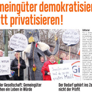 Gemeingüter demokratisieren statt privatisieren